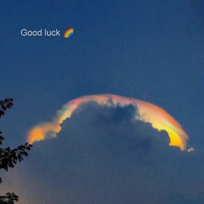 组装机械组合龙2